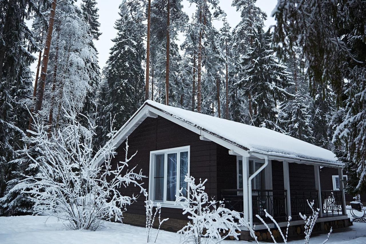 Tsarstvo Korolevstvo Villa Ushakovo Oda fotoğraf