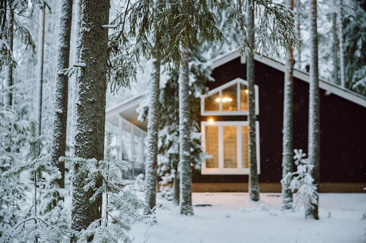 Tsarstvo Korolevstvo Villa Ushakovo Oda fotoğraf