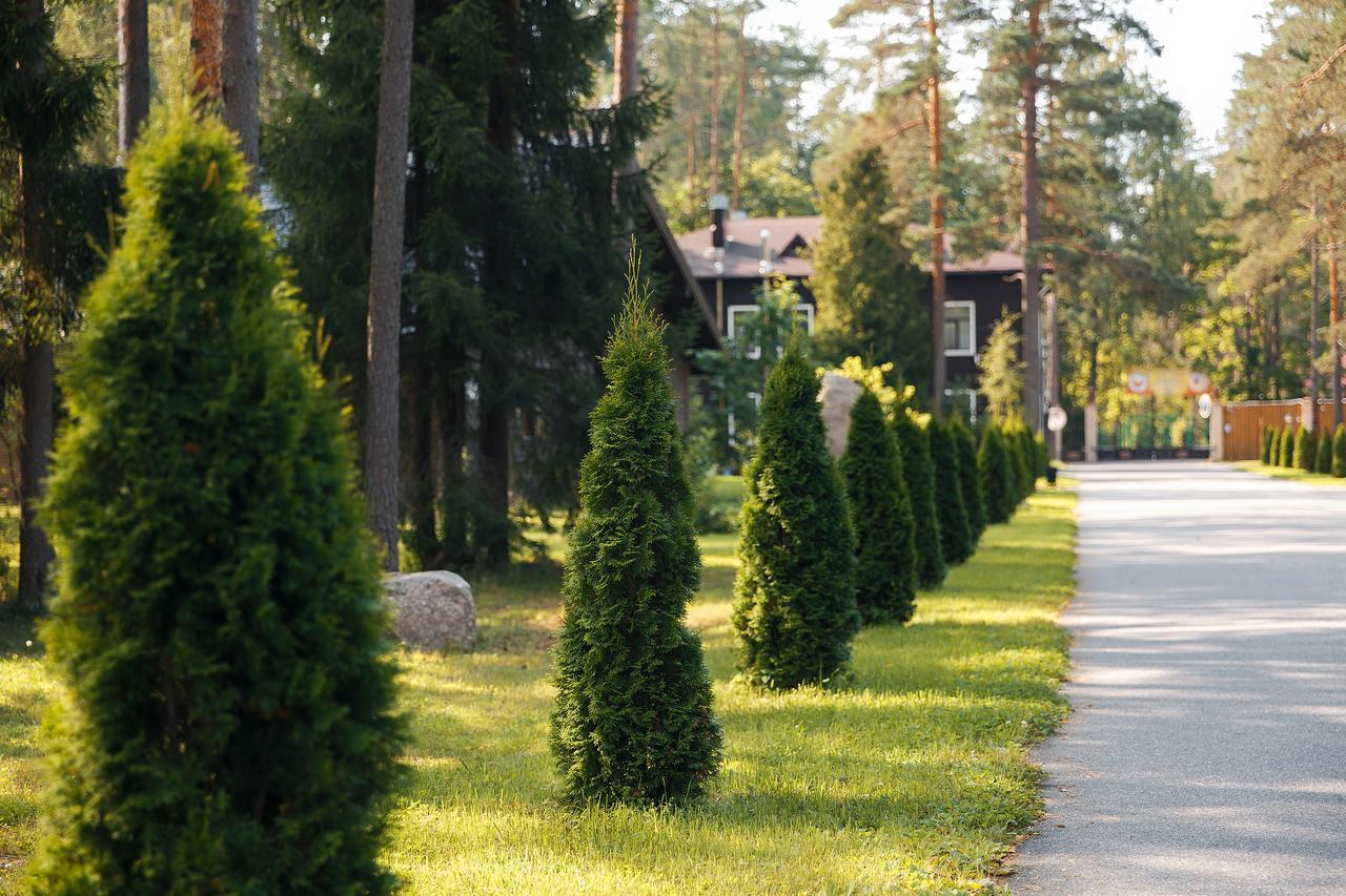 Tsarstvo Korolevstvo Villa Ushakovo Dış mekan fotoğraf